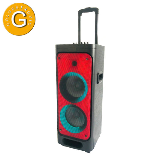 2X8" multifunction trolley speaker DJ party super sound speaker with fm