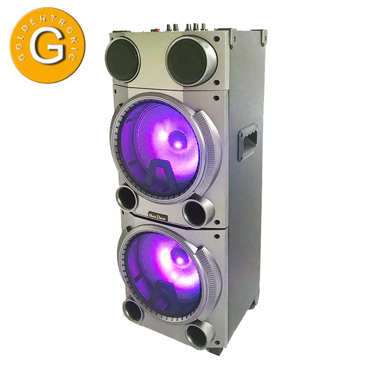 2×10"Trolley speaker DJ Speaker with Disco Party Light Professional Stage woffer