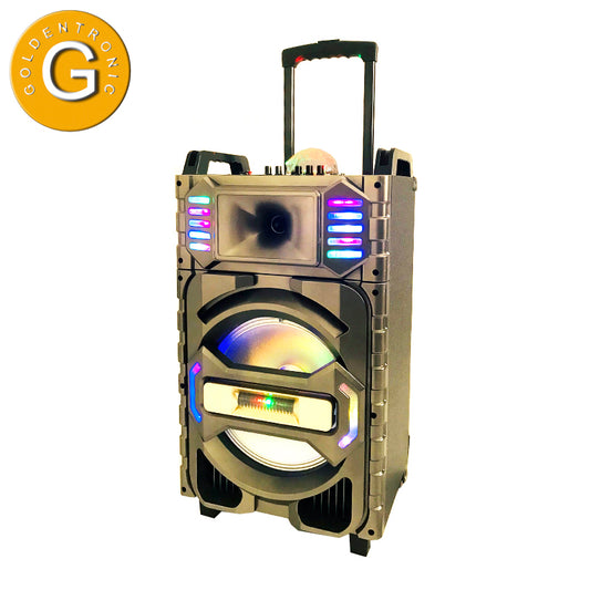 1X12" Outdoor Party DJ Bass Speaker