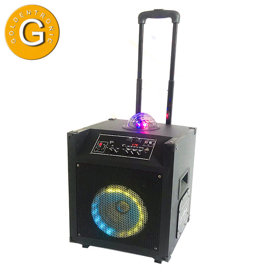 1X8" Outdoor Tailgate Karaoke Party Ring light Speaker