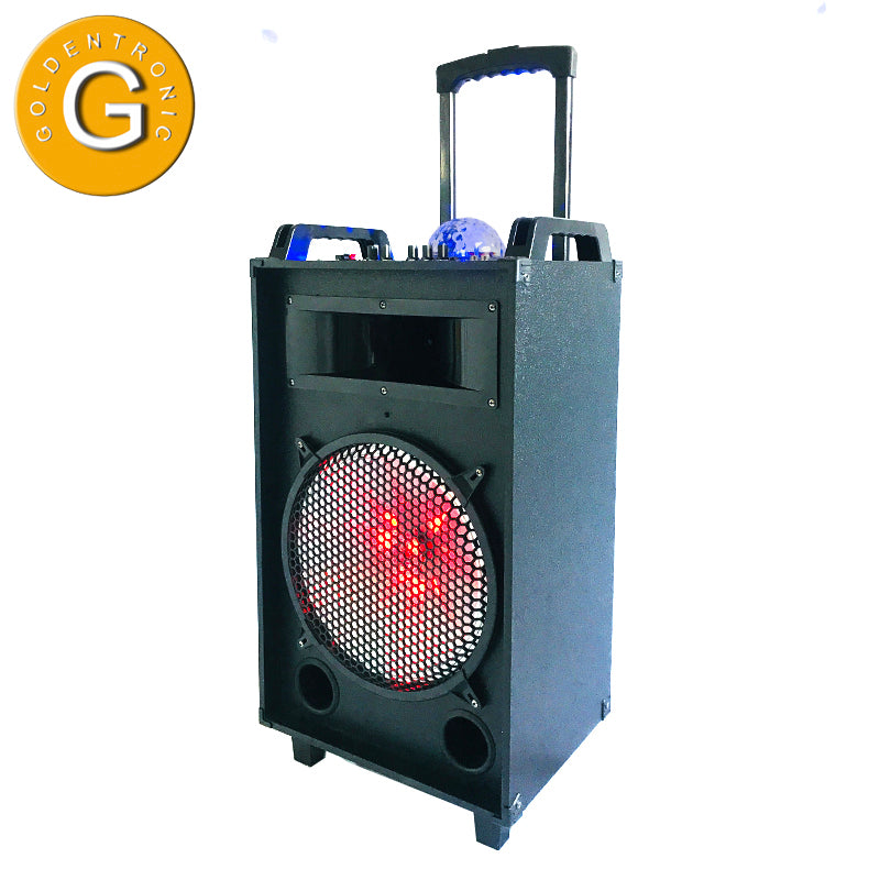 1X12" fashionable karaoke party loudspeaker with LED colorful flashing light