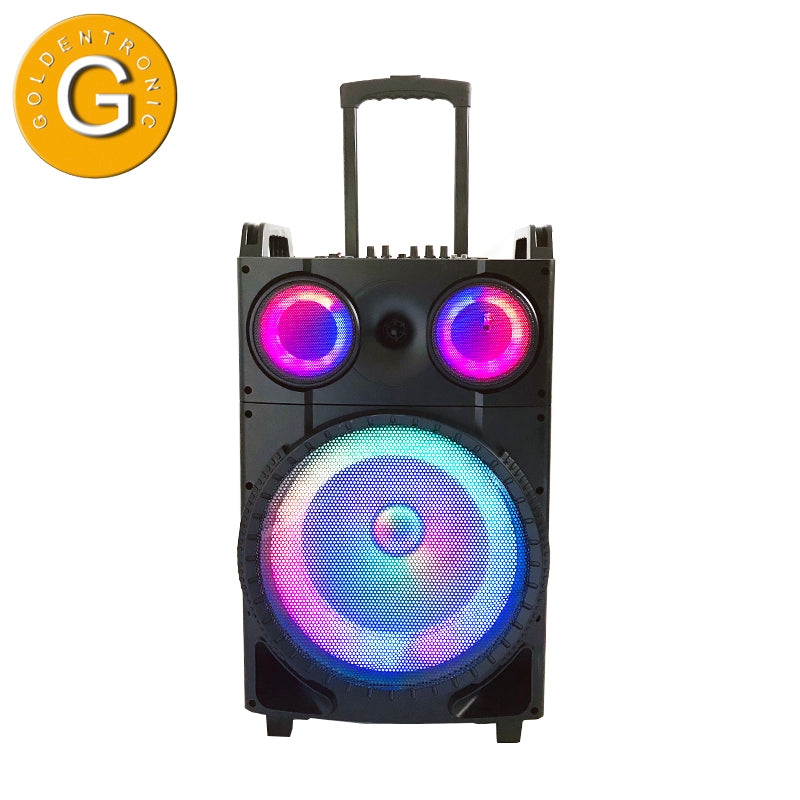 1X12" Outdoor Party DJ Public Speaker Rechargeable