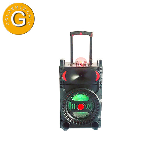 1X10" rechargeable midrange karaoke speaker with fm radio