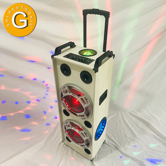 2X12" Stereo Karaoke Portable Speaker Dancing Blue tooth Trolley Video Speaker