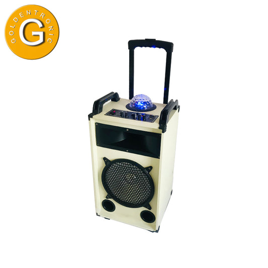 1X10" portable multi-functional max professional speaker system