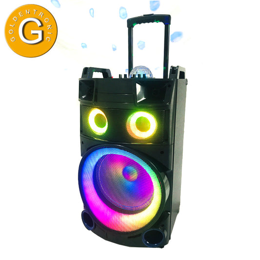 1X12"High Quality Wooden Trolley Speaker  Rechargeable Wood Outdoor Audio with MIC