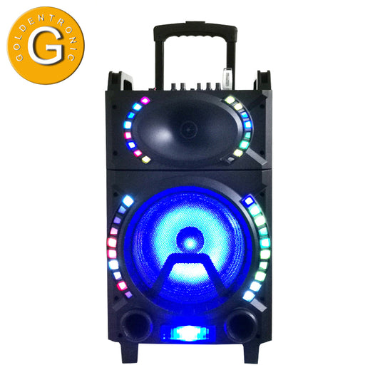 1X10" Trolley Amplifier Bluetooth Subwoofer Speaker
