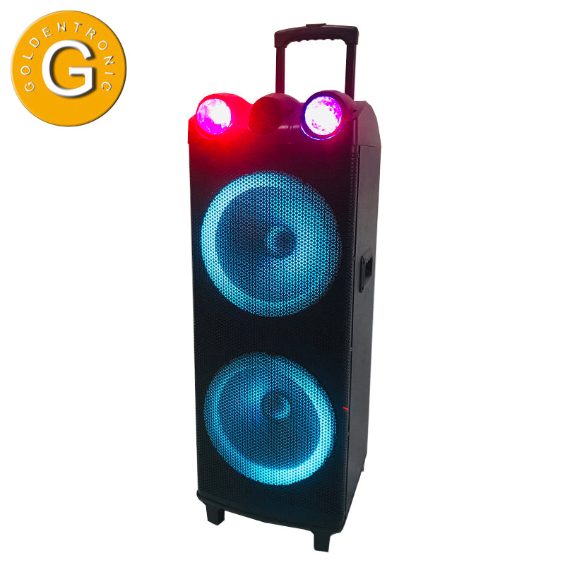 2X12" New Outdoor Trolley Subwoofer Stereo Rechargeable Karaoke Speaker