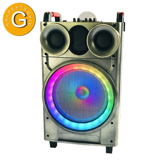 1X12" Outdoor Party Instrument Speaker with Microphone