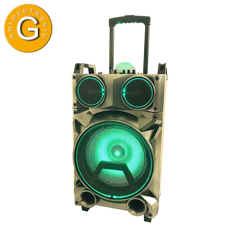 1X12" Outdoor Party DJ Waterproof Speaker