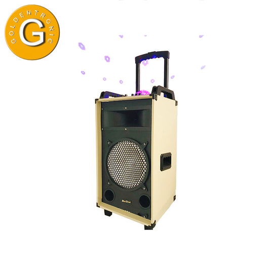 1X10" best seller DJ stereo speaker system
