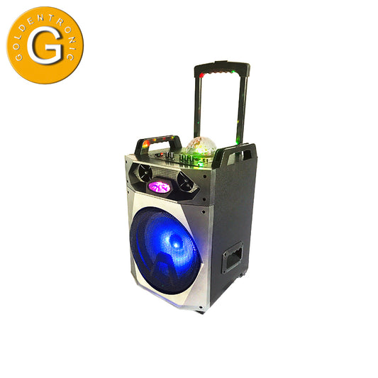 1X10" portable LED rechargeable full range speakers with microphone