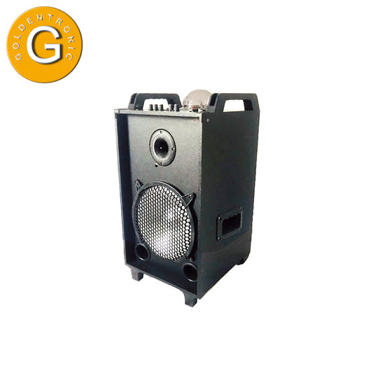 1X10" Portable Outdoor Loudspeaker Wireless Speaker Audio 100W DJ speaker with LED colorful Flashing light