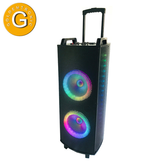 2×10"big power wooden active speaker with good sound quality and beautiful led light