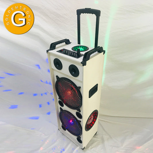 2X12" Dual Speakers Subwoofer Portable Speaker With LED Light Colorful