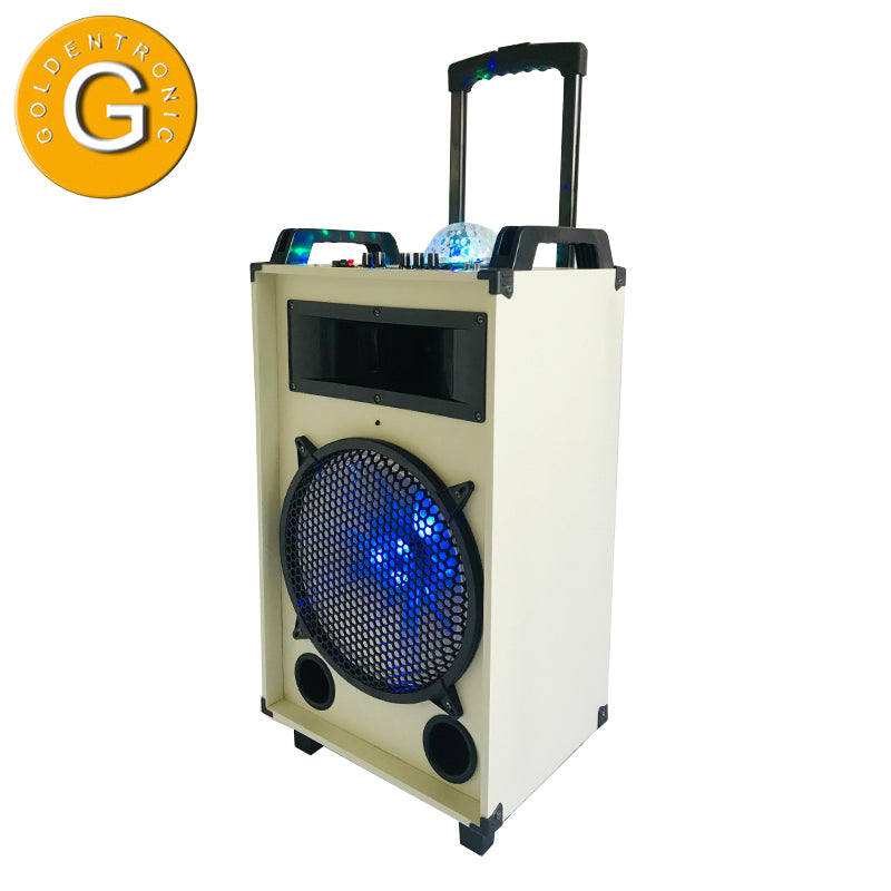 1X12" outdoor portable wireless bass loud-speaker