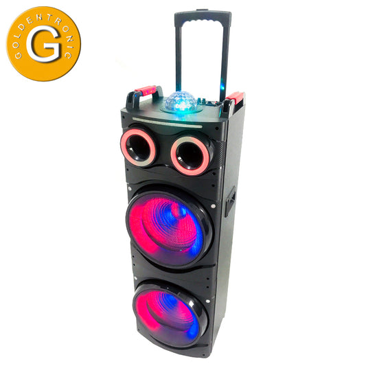 2X12"hot salLeing wireless professional dj speaker bass speaker for outdoor with led light