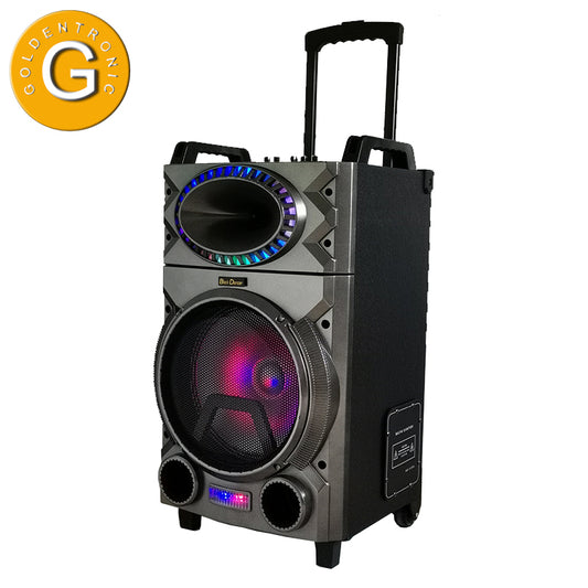 1X12" Outdoor Party DJ EQ Speaker Rechargeable