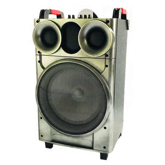 1X12" Outdoor Party Instrument Speaker with Microphone