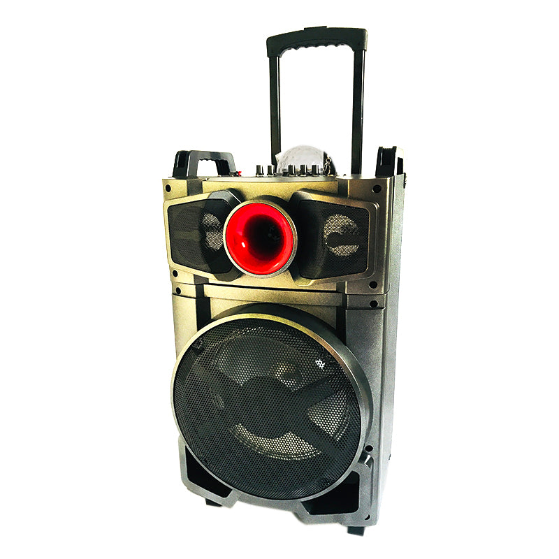 1X12" Outdoor Stylish Portable Trolley Super Bass Speakers