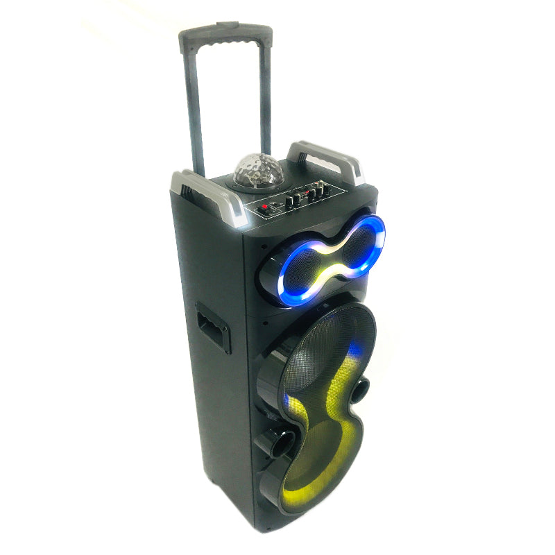 2X10"Outdoor Speaker Home Party Cart Audio DJ speaker with Colorful Lights
