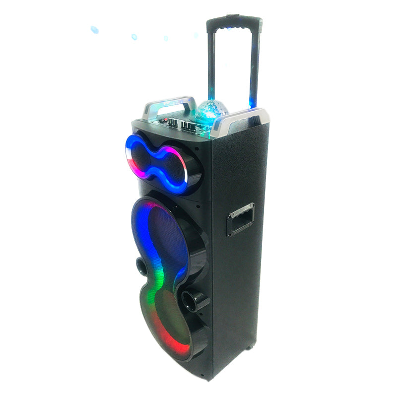 2X10"Outdoor Speaker Home Party Cart Audio DJ speaker with Colorful Lights