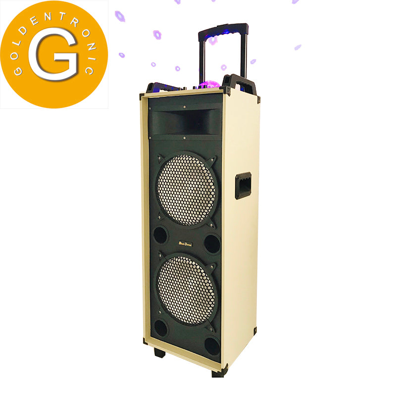 2×10"Karaoke  Bass Active Speaker Wood DJ creative