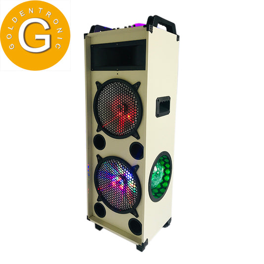 2×10"Factory OEM/ODM Double 10 inch wooden professional trolley speaker with flashing led light