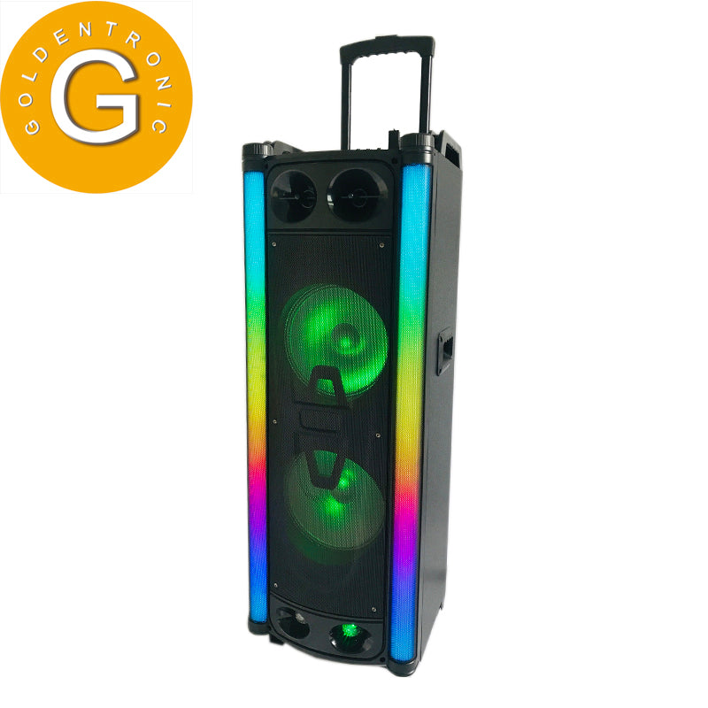 2×10"Wood dual rechargeable portable bt trolley wireless loud speaker audio system