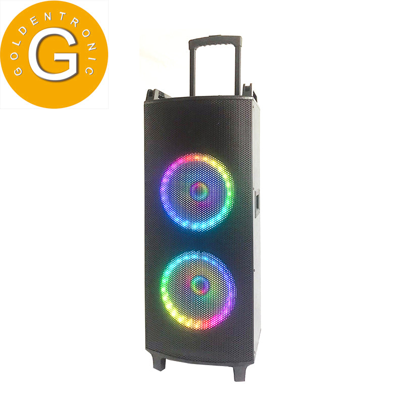 2×10"Cheap Battery Wood Trolley Speaker Karaoke system