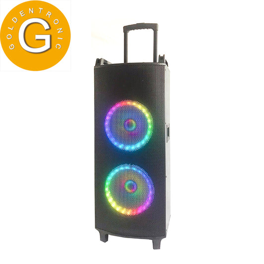 2×10"Cheap Battery Wood Trolley Speaker Karaoke system