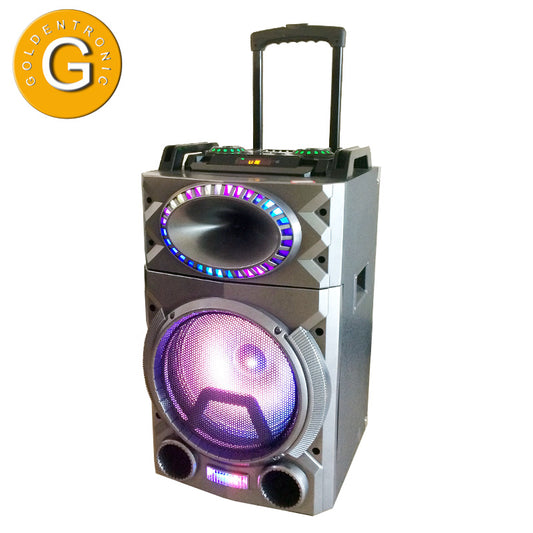 1X10" Trolley Rechargeable Speaker