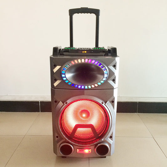 1X10" Trolley Rechargeable Speaker