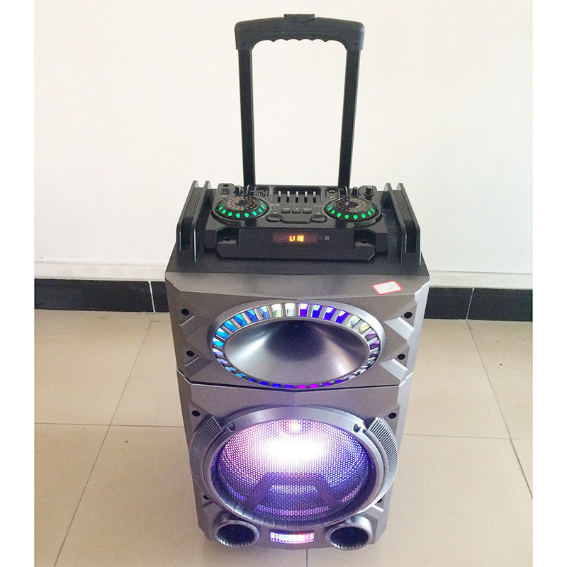 1X10" Trolley Rechargeable Speaker