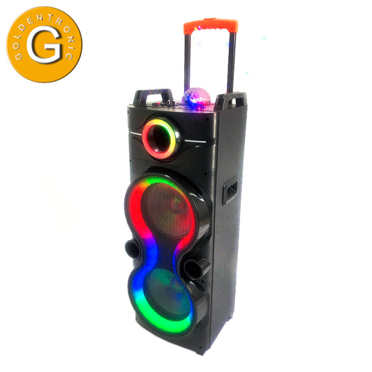 2X10"multifunction trolley speaker Portable Party System Speaker home Audio with Radio Remote LED Light