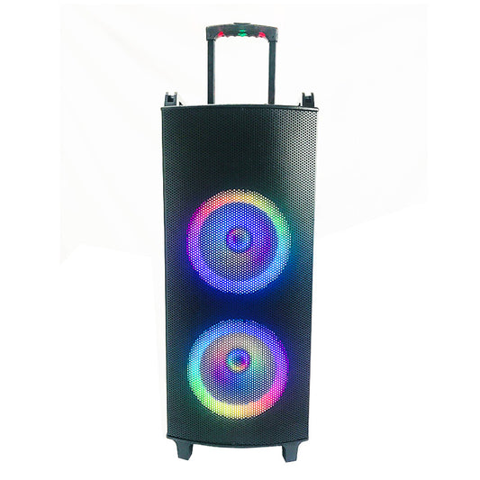 2X10"  DJ speaker box for outdoor speakers professional sound system