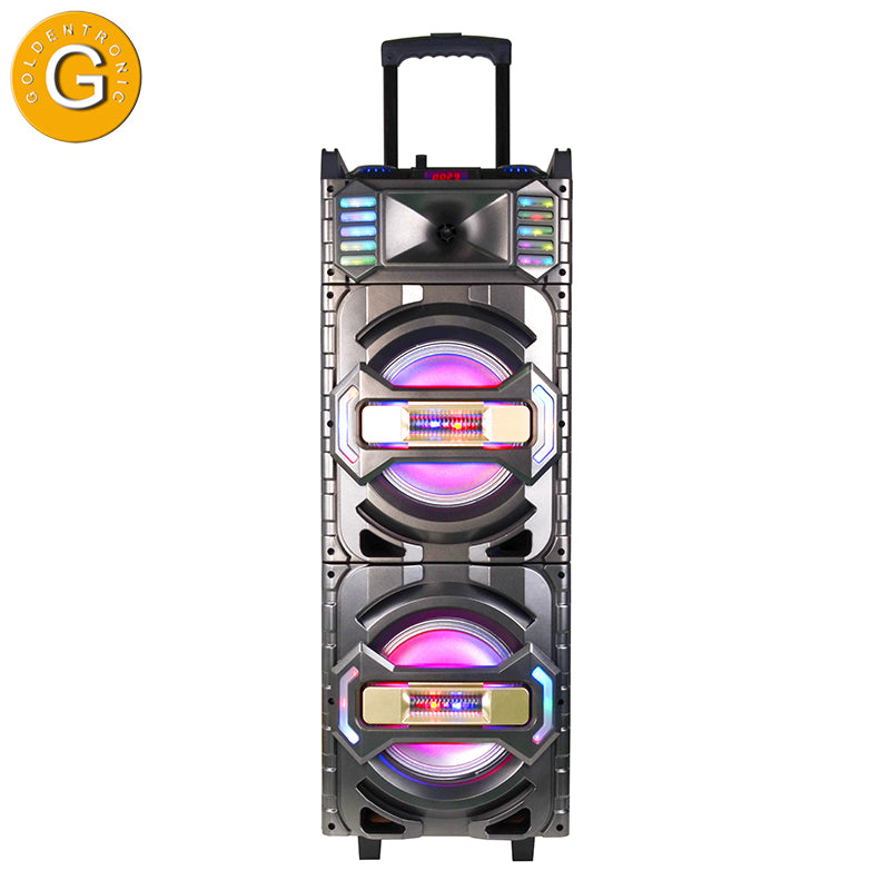 2×12“outdoor sub woofer powerful professional audio dj speaker box pa systems speaker