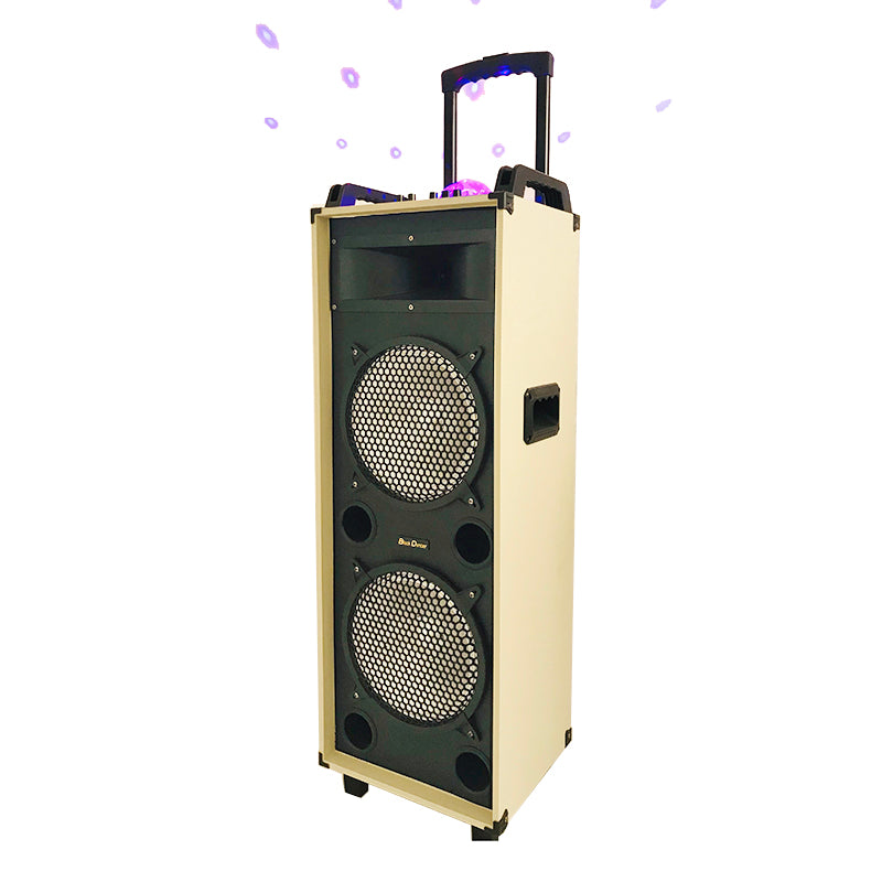 2×10"Karaoke  Bass Active Speaker Wood DJ creative