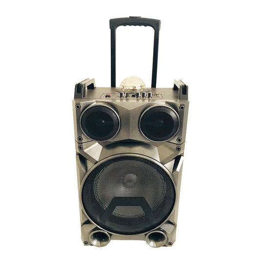 1X12" Outdoor Party DJ Waterproof Speaker