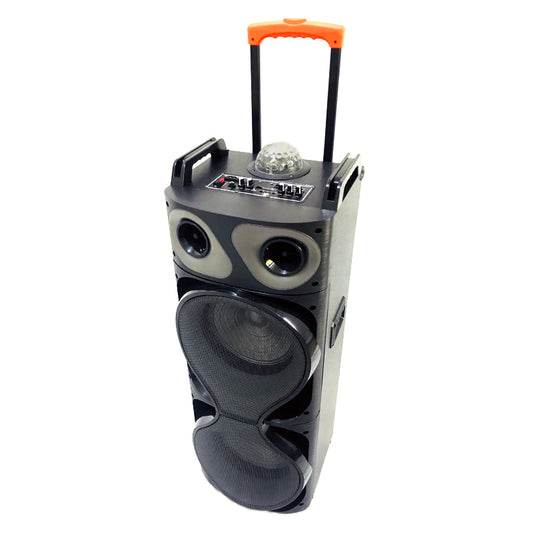 2X10"New Arrival Party Wireless Portable rechargeable Speakers Outdoor or Indoor professional