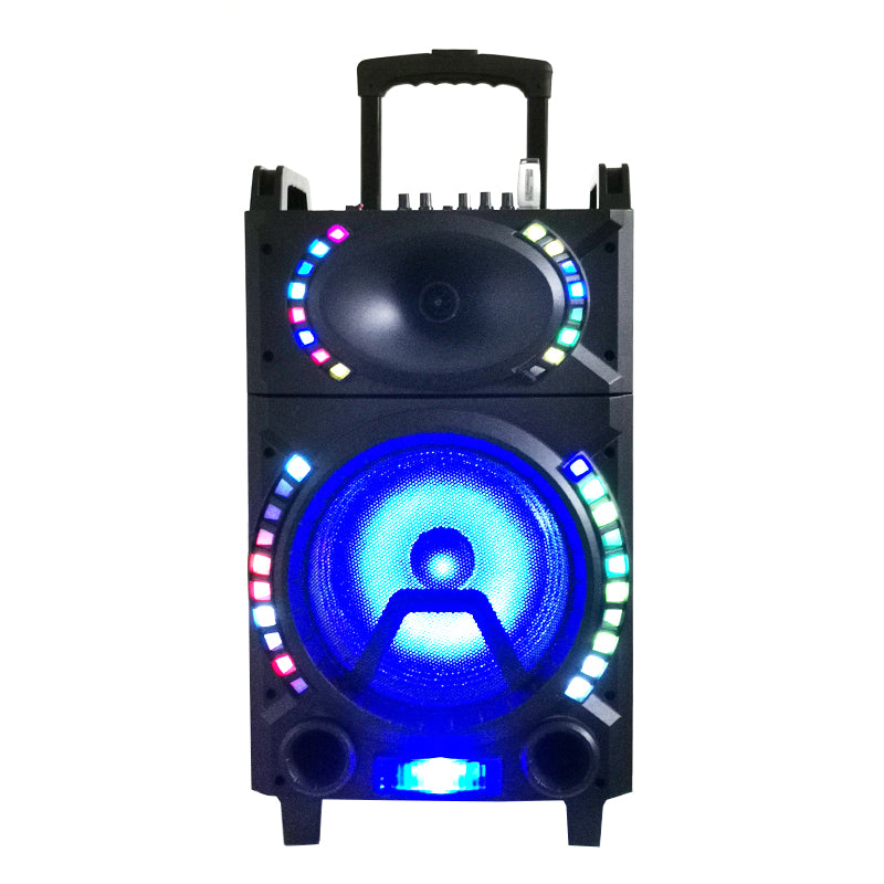 1X10" Trolley Amplifier Bluetooth Subwoofer Speaker