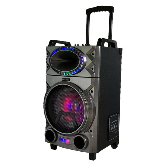 1X12" Outdoor Party DJ EQ Speaker Rechargeable