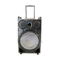 1X12" Outdoor Party DJ Public Speaker Rechargeable