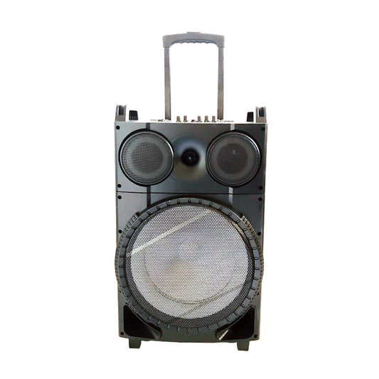 1X12" Outdoor Party DJ Public Speaker Rechargeable