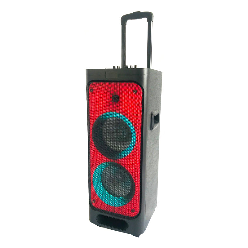 2X8" multifunction trolley speaker DJ party super sound speaker with fm