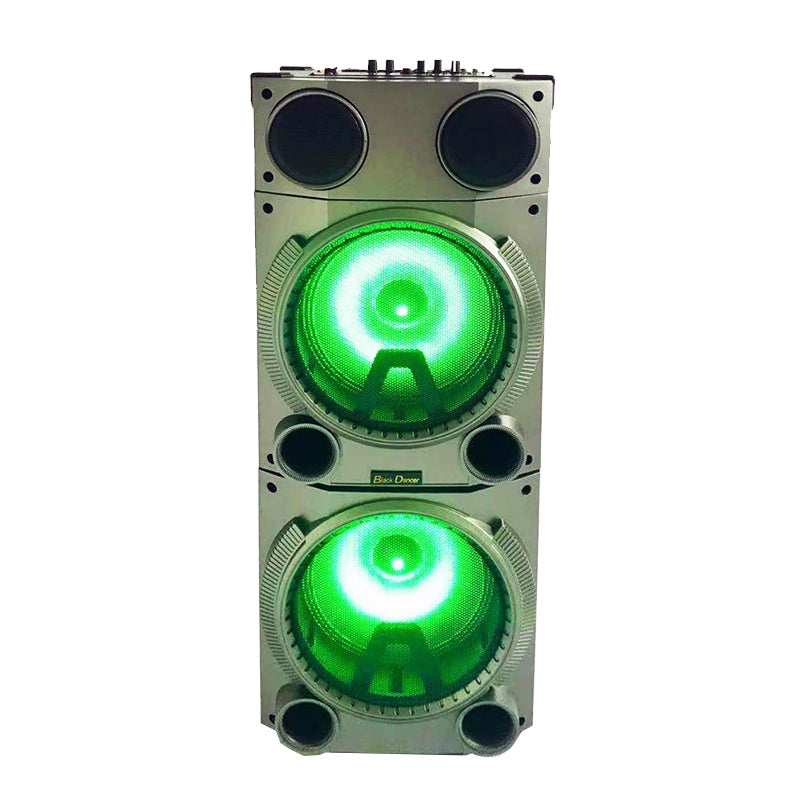 2×10"Trolley speaker DJ Speaker with Disco Party Light Professional Stage woffer