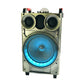 1X12" Outdoor Party Instrument Speaker with Microphone