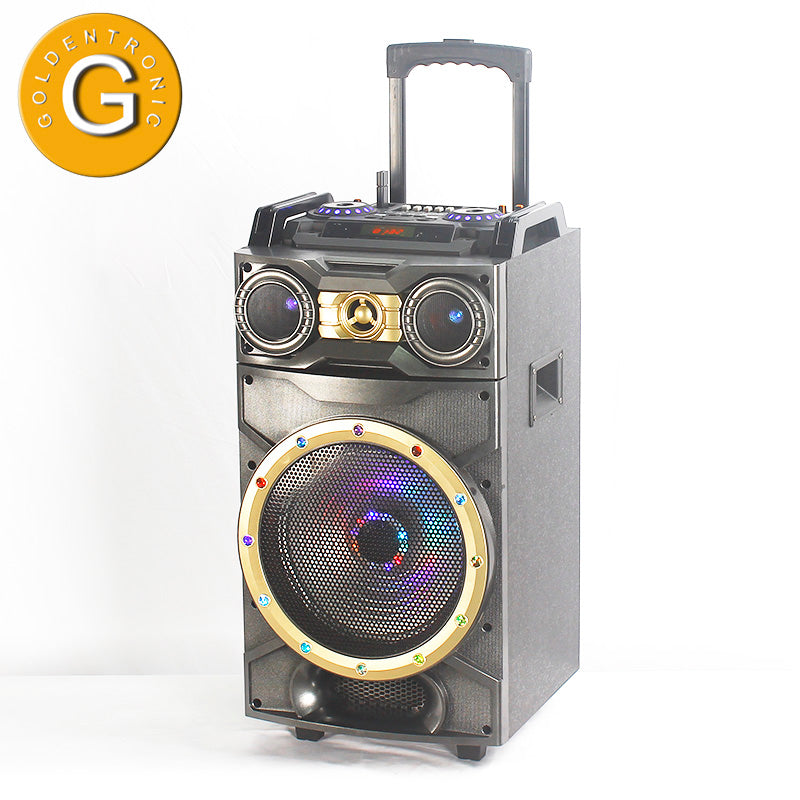 1X12" Rechargeable Trolley PA Wooden Speaker