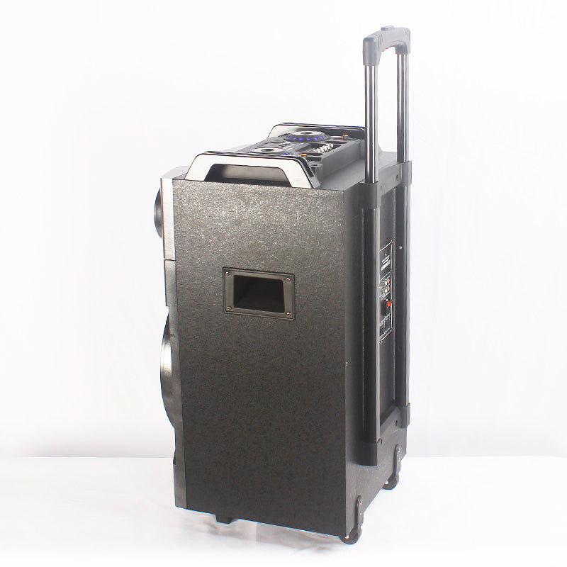 1X12" Rechargeable Trolley PA Wooden Speaker