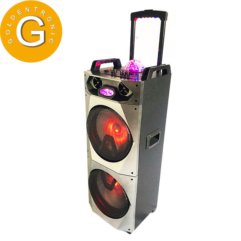 2×10"Wooden Stage Professional Amplifier System Trolley Rechargeable Speaker with Disco Light